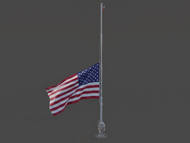Automatic Motorized Flag Pole - Image 11